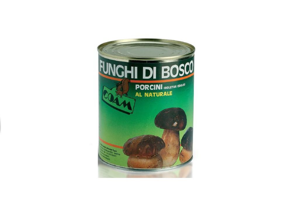 Funghi Porcini interi extra al naturale