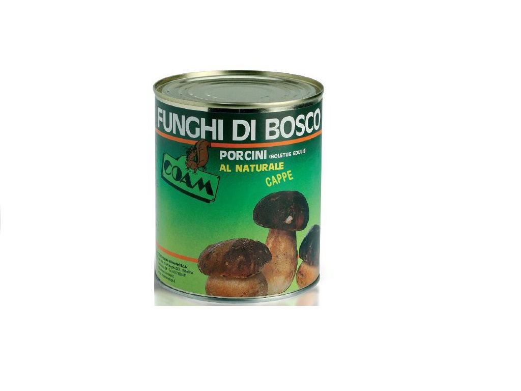 Cappe di Funghi Porcini al naturale