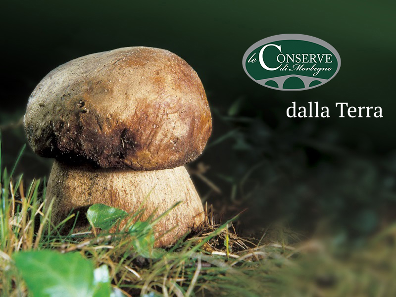 prodotti di terra, Conserve di Morbegno, funghi, conserve sottolio
